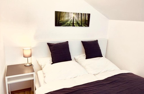 Zwiesel Apartment | Gemütliches Apartment mit Fernblick Kamin Balkon