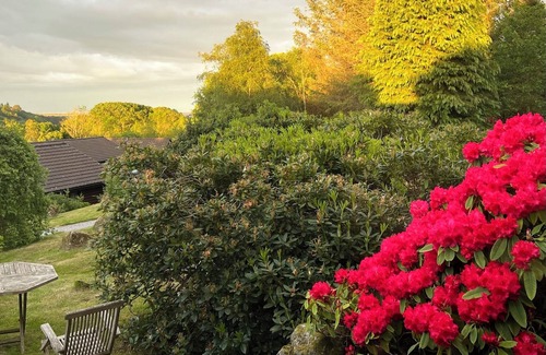 Sandyhills Cabin | Genuine log cabin, Solway Coast. Sleeps 6. Pet friendly. Perfect getaway.