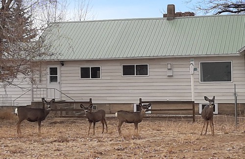 Saratoga House | Get away from the hustle and bustle in an outdoor paradise!