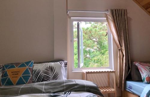 Da Lat Villa | Gifhouse Đà Lạt - Pine 4pn nguyên căn 6-12 khách