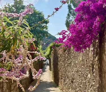 Framura Apartment | Gioiello alle porte delle 5 Terre