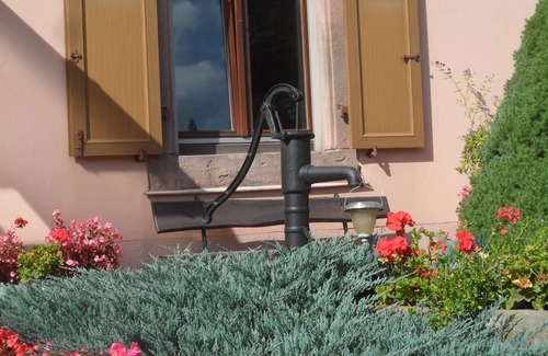 Luttenbach-pres-Munster Apartment | GITE AU JARDIN DE MON ENFANCE 4 persons MUNSTER Valley