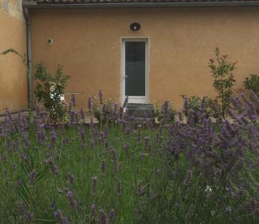 Savignac-de-l'Isle House | Gite Brandet Savignac