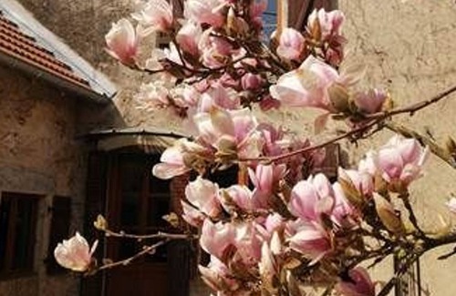 Cusey House | Gite Cusey, 3 bedrooms, 9 persons