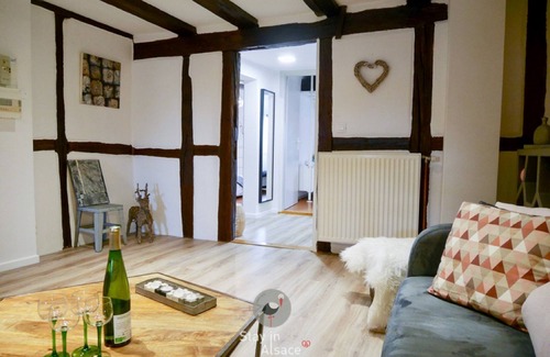 Colmar Centre Ville Cottage | Gite Grand'Rue in the center of vieille ville
