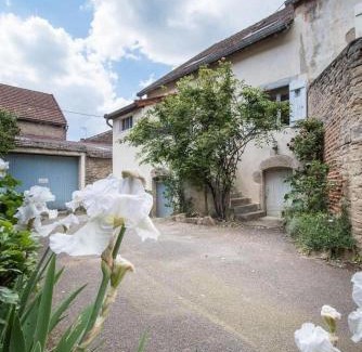 Savigny-les-Beaune House | GITE Home Bacchus
