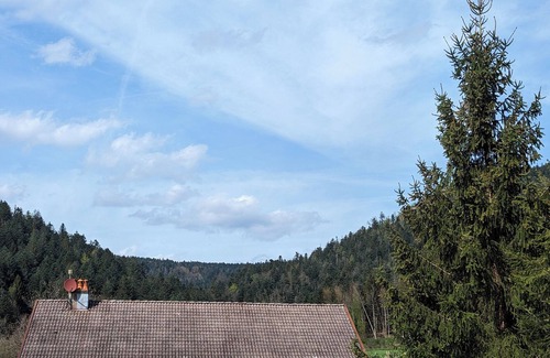 Le Val-d'Ajol House | Gîte in the countryside at the foot of a hiking trail