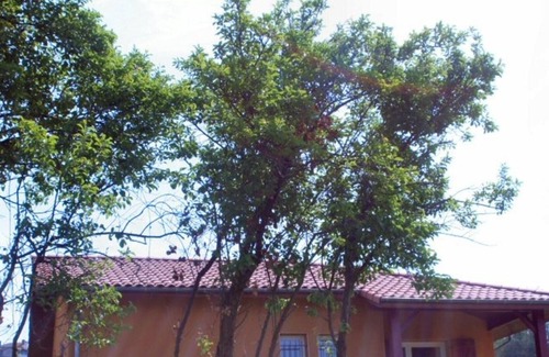 Mugron House | Gite Mugron, 2 bedrooms, 4 persons