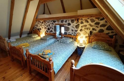 Saint-Jacques-des-Blats House | Gite tout confort 10 pers à 8 km du Lioran