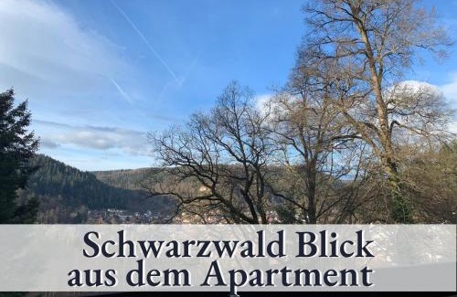 Bad Liebenzell Apartment | Glücks-Quartier Kaffeehof 1