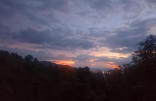 Manizales Apartment | Glamping Bosque de helechos, privacidad y cercanía