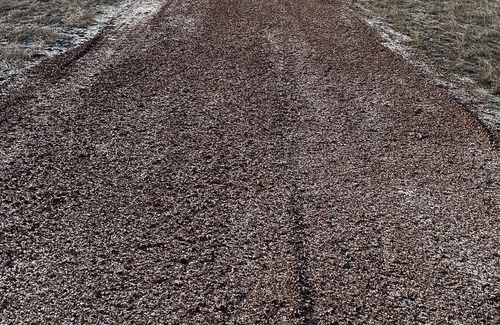 Hermosa RV Rental | Glamping Dome