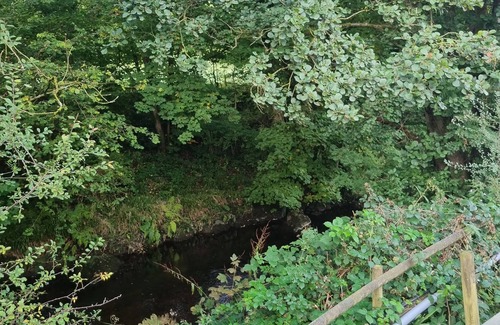 Llanfair Caereinion House | Glamping Hut - Riverview 4