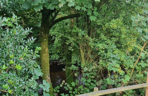 Llanfair Caereinion House | Glamping Hut - Riverview 4