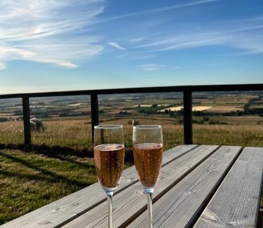 West Heslerton Apartment | Glamping Pod - Vale View