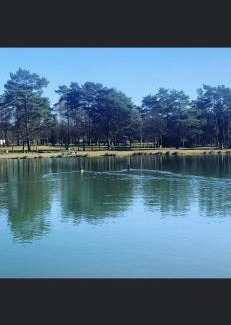 Soltau Other | Glampingzelt Heide - Lodge