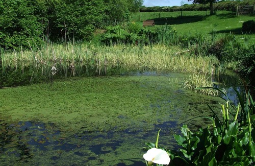 Whitland Cottage | Glascoed Farmhouse, Whitland