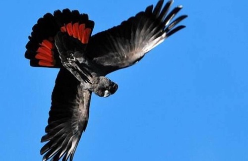 Culla Cottage | Glendara Cottage - located at Harrow