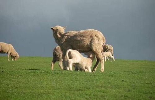 Culla Cottage | Glendara Cottage - located at Harrow