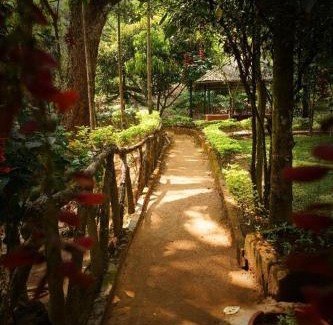 Pallivasal Bed & Breakfast | Glenmore Resorts Munnar