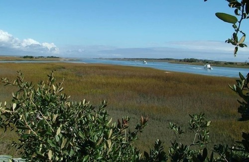 Isle of Palms Cottage | Goat Island Getaway 2 Bedroom Island Cottage Accessible by Boat