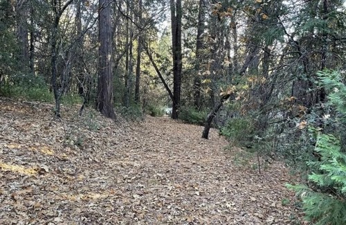 Phoenix Lake-Cedar Ridge House | Gold Rush Historic Location with Luxurious Recreational Vehicle with Porch