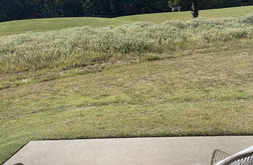 Austin Apartment | Golf Course Guest House - Greystone Country Club