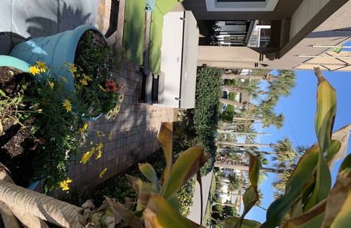 Neptune Beach House | Gorgeous Beachside Home.Best Location! Walk to everything!