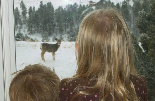Westcliffe Cabin | Gorgeous Cabin with Sauna Overlooking Sangre De Cristo Mts