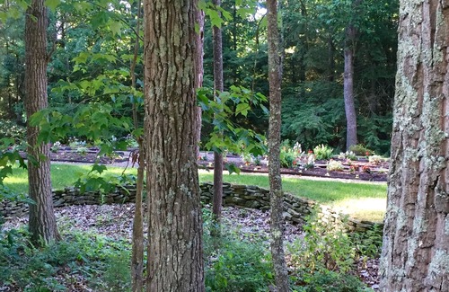 Williamsport House | Gorgeous Colonial Home! Great for large family gatherings!
