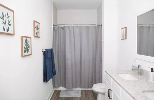 Lombard Apartment | Gorgeous Luxury 1BR | Serene getaway *RARE*