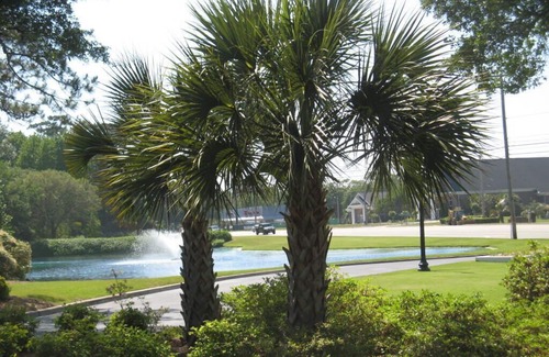 Briarcliffe Acres Condo | GORGEOUS OCEAN CREEK SOUTH TOWER 3BR/3BA, Spectacular View! 7/26-8/16 OPEN!