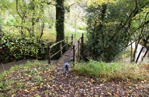 Vobster Apartment | Gorgeous Studio with fast wifi on 55 acres ❤️