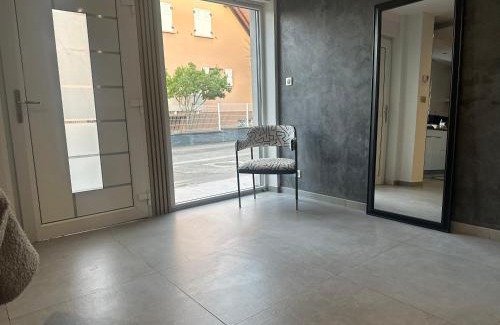 Wintzenheim Apartment | Grand logement proche Colmar au calme parking wifi