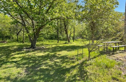 Blue Springs House | Grandma's Cabin in a Quiet and Secluded Location