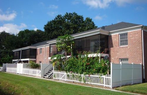 Lake Magdalene Condo | Great Condo Close To Busch Gardens!