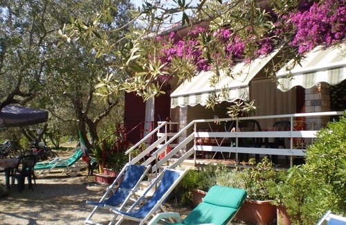 Lacona House | GREEN apartment immersed in the olive grove