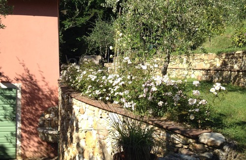 Montemagno Cottage | Green corner of paradise in Calci near to Pisa