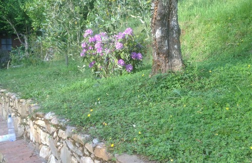 Montemagno Cottage | Green corner of paradise in Calci near to Pisa