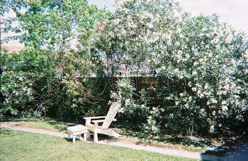 Arabi Cottage | GREEN DOOR COTTAGE nCharming New Orleans home 10 mins from the French Quarter.n