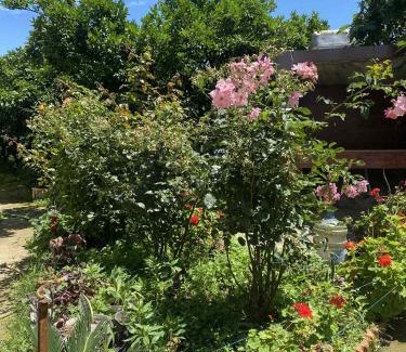 Imereti House | Green house Cottage