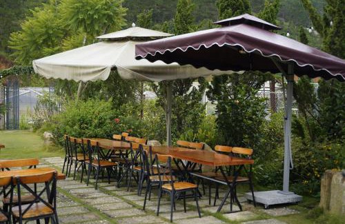 Da Lat Hotel | GREENECO DA LAT HOTEL - Khách sạn Green Eco Đà Lạt