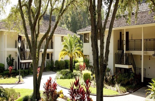 Wesley Chapel Condo | Greens, Courts & Pools! | Oasis in FL | Pool View