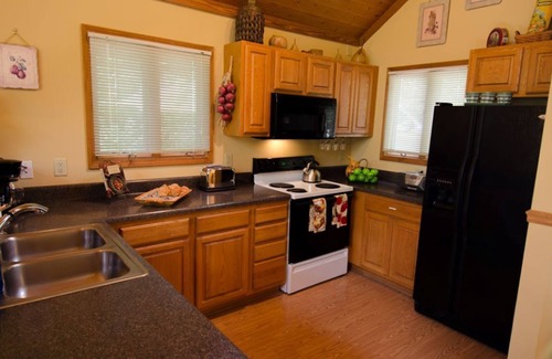 Skyland Cabin | Greg's Getaway w/nice hot tub