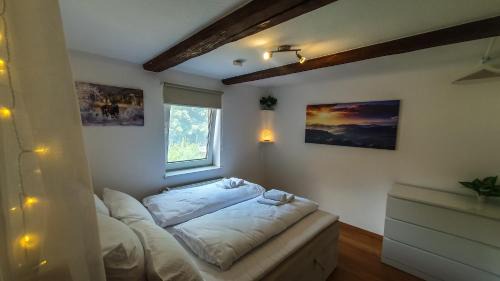 Hasserode Apartment | Große FeWo am Wäldchen für 10 Personen