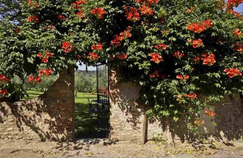 San Donato a Livizzano Apartment | Ground floor Flat in a winery in Montespertoli,A/C, Wi-Fi, swimming pool,Melo