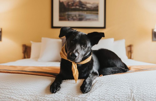 Whitefish Hotel | Grouse Mountain Lodge