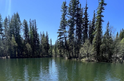 Eureka Cabin | Guest Cabin with catch and release fishing on site!