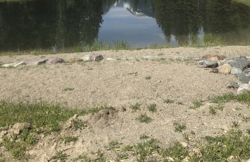 Eureka Cabin | Guest Cabin with catch and release fishing on site!