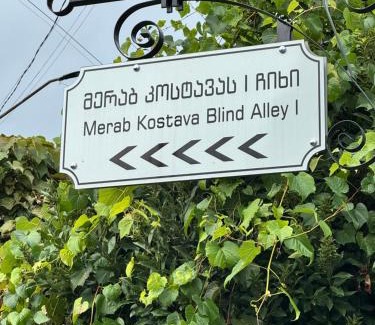 Zugdidi Apartment | Guest House Lali Kostava 14